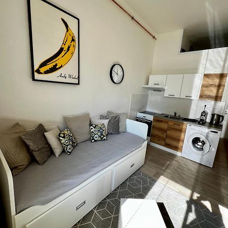 Apartman Zlata Hvezda Ceske Budejovice Buitenkant foto