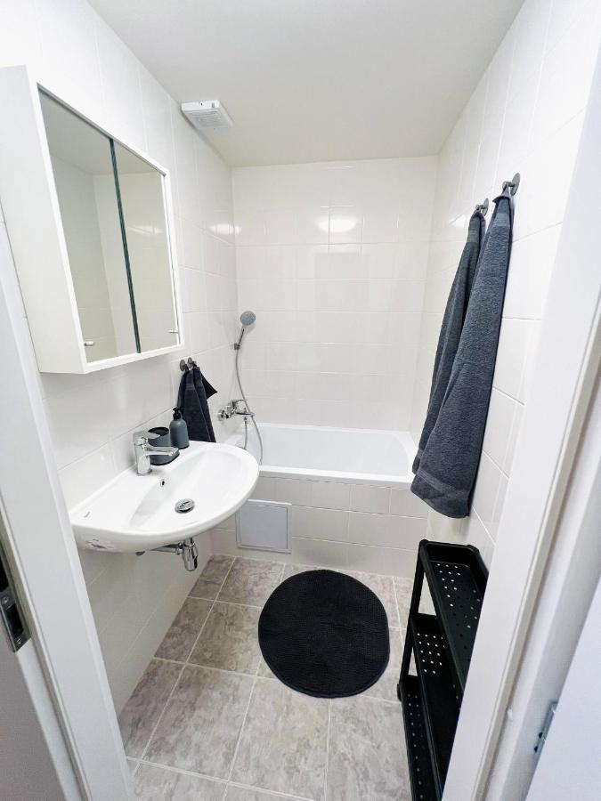 Apartman Zlata Hvezda Ceske Budejovice Buitenkant foto